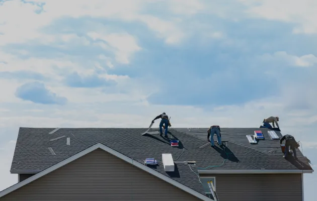 Roof Cleaning and Moss Removal